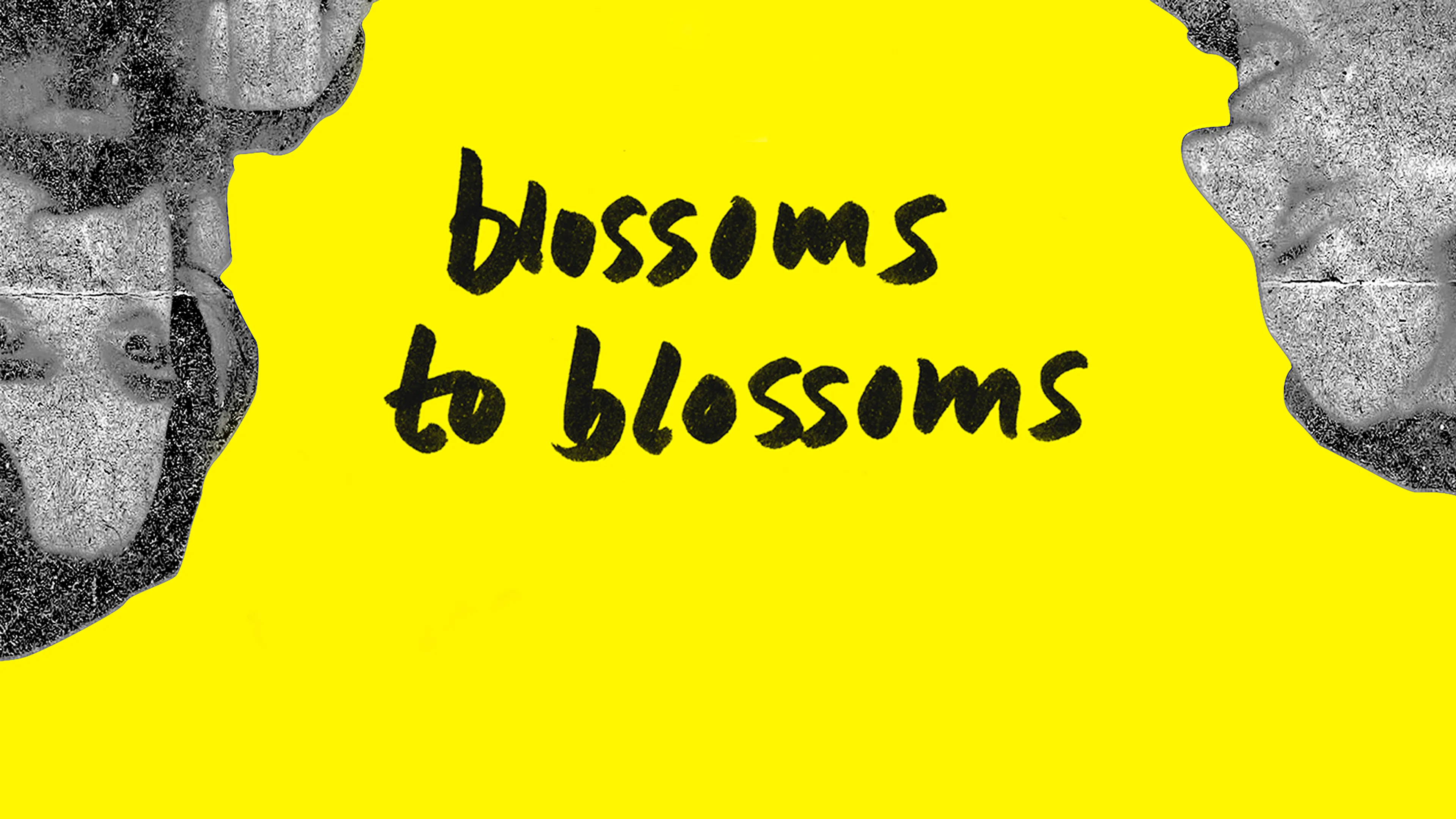 Blossoms to Blossoms poster
